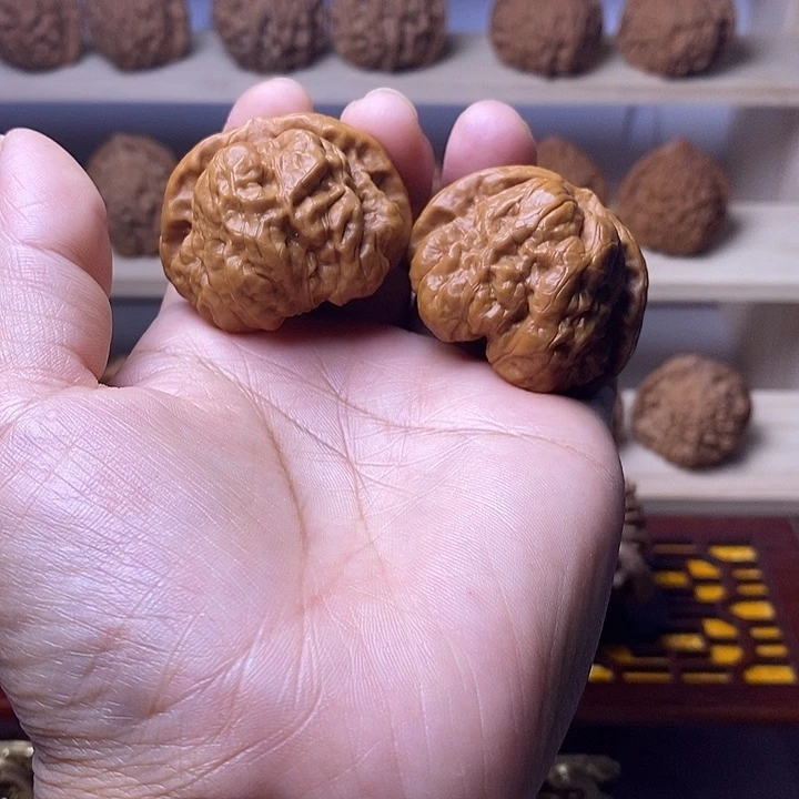 42尺有腿有眼蛤蟆头