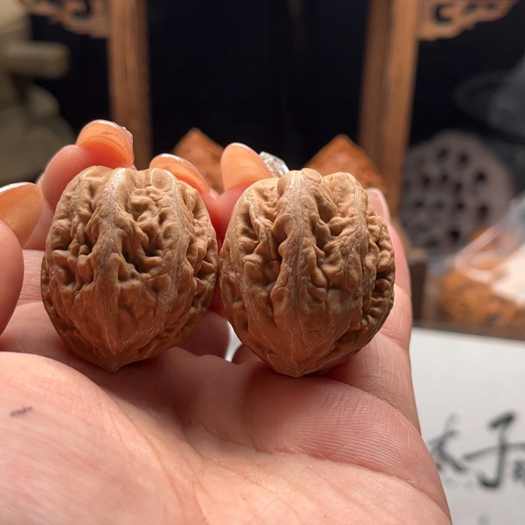 文玩核桃把件关东木子家楸大胖6