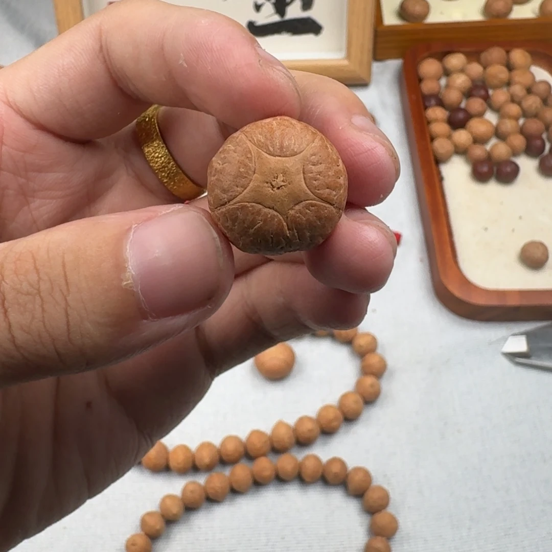 手串凤眼菩提19.7x15五星
