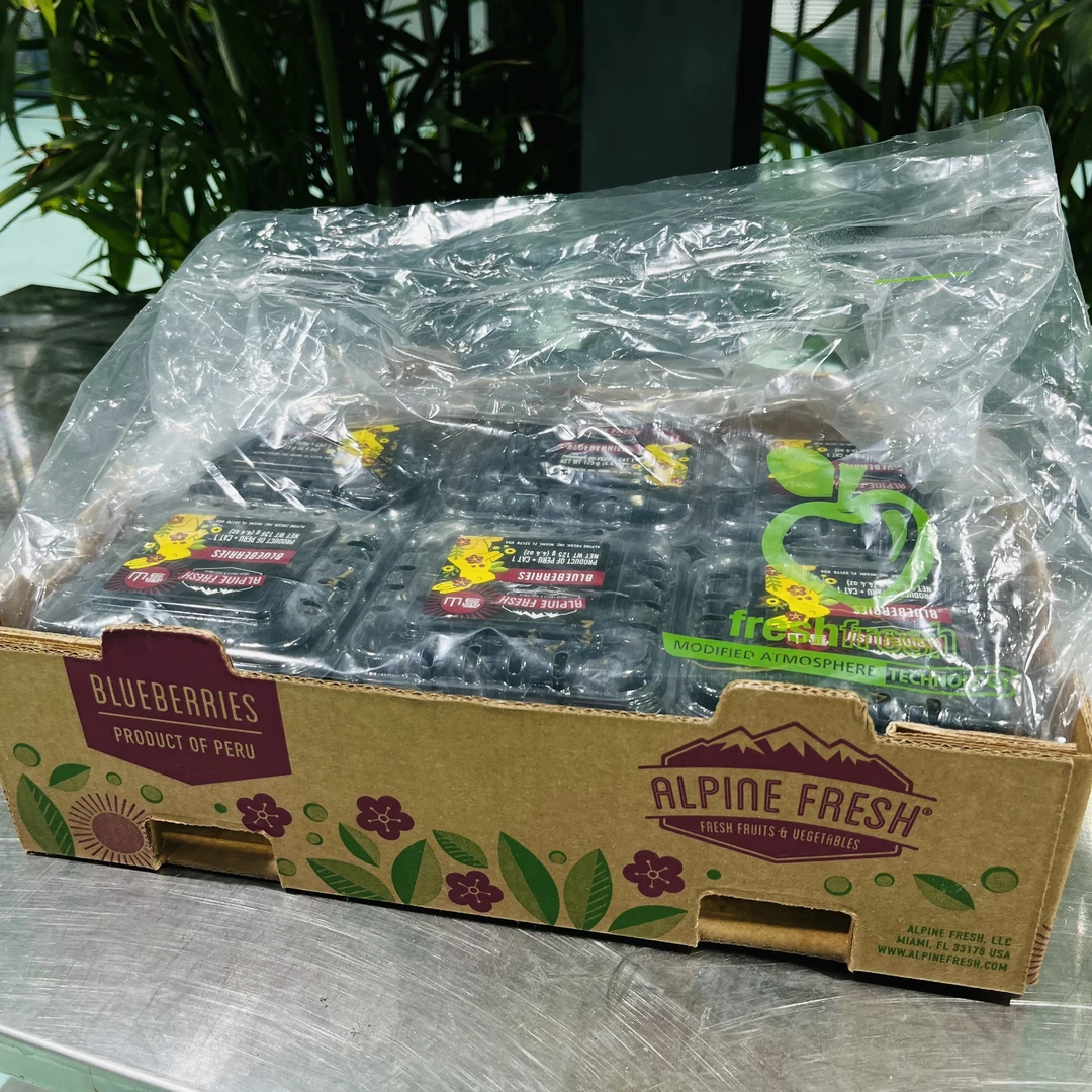 【整箱12盒】进口新鲜蓝莓  花香味足（单盒125g） 只发山西省内