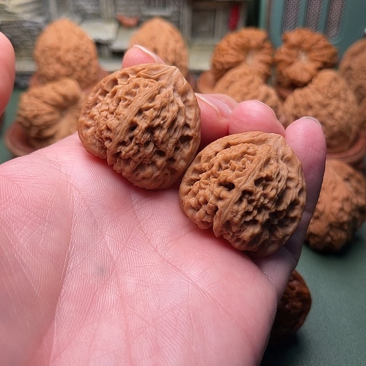 三角南将石哦哦哦