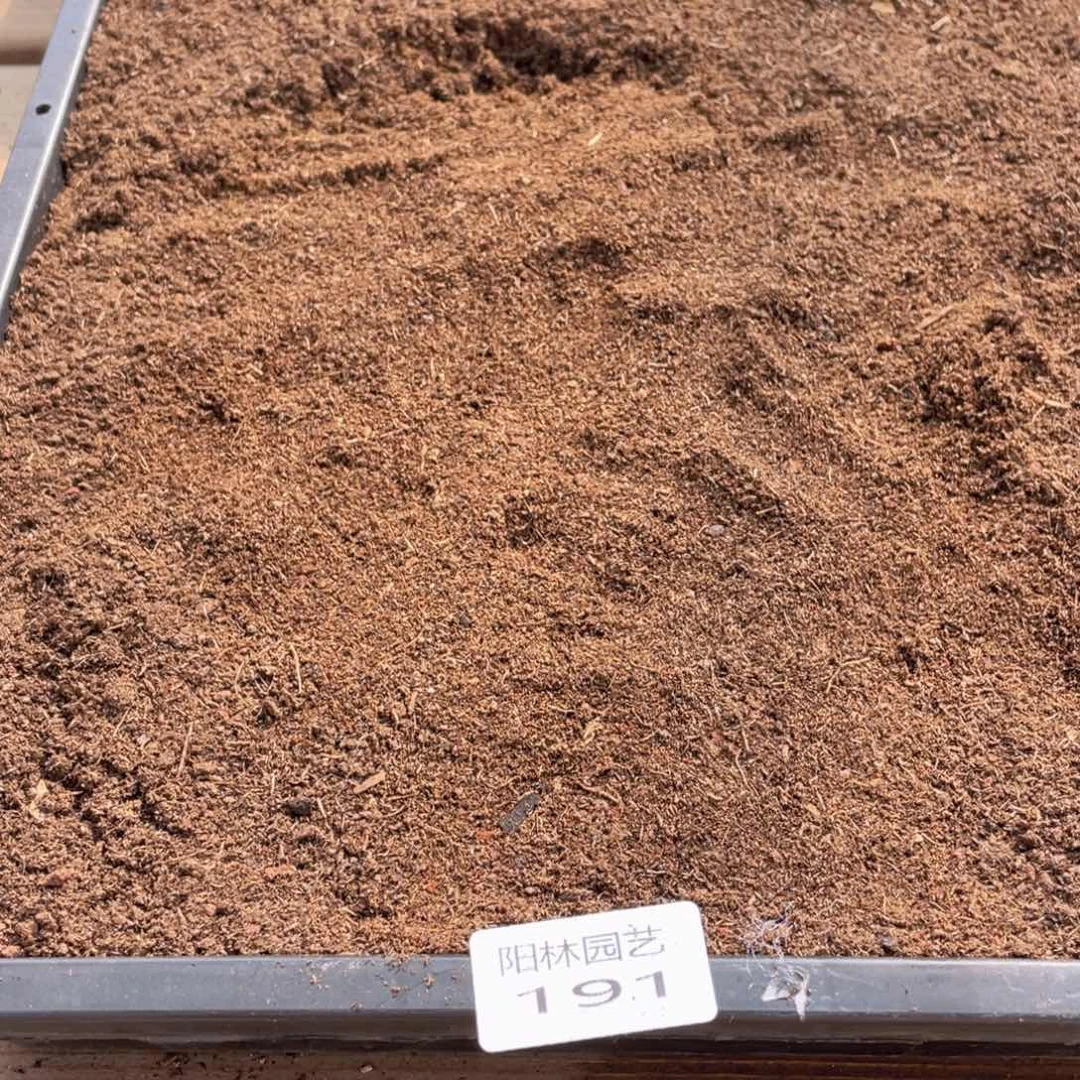 量拍多肉植物种植土191