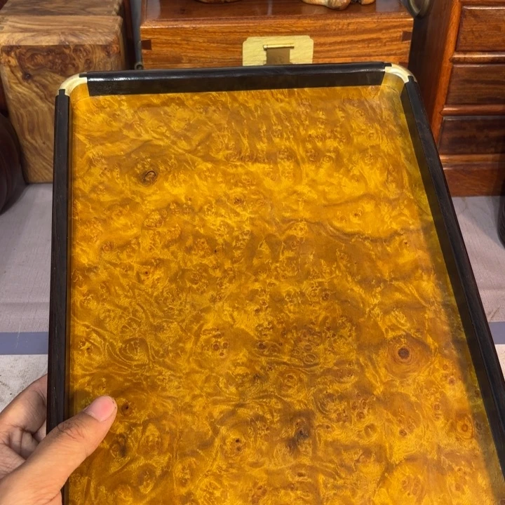 木黄金樟留疤超大托盘