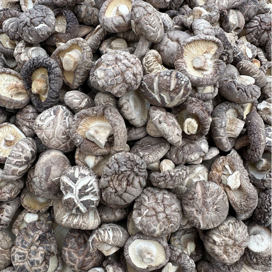 【青耘重庆助农行动】大慈山花菇