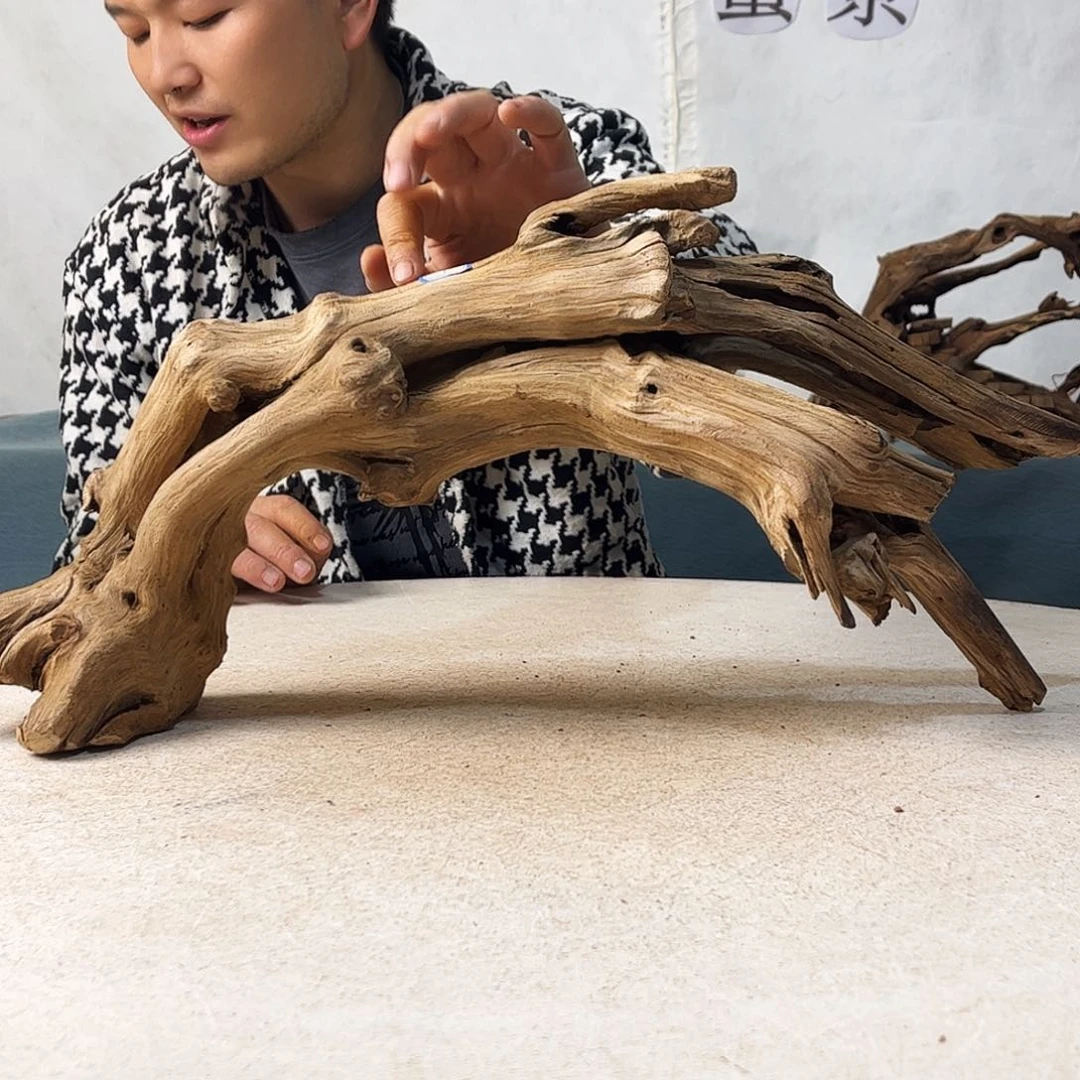 沉木造景爬宠造景