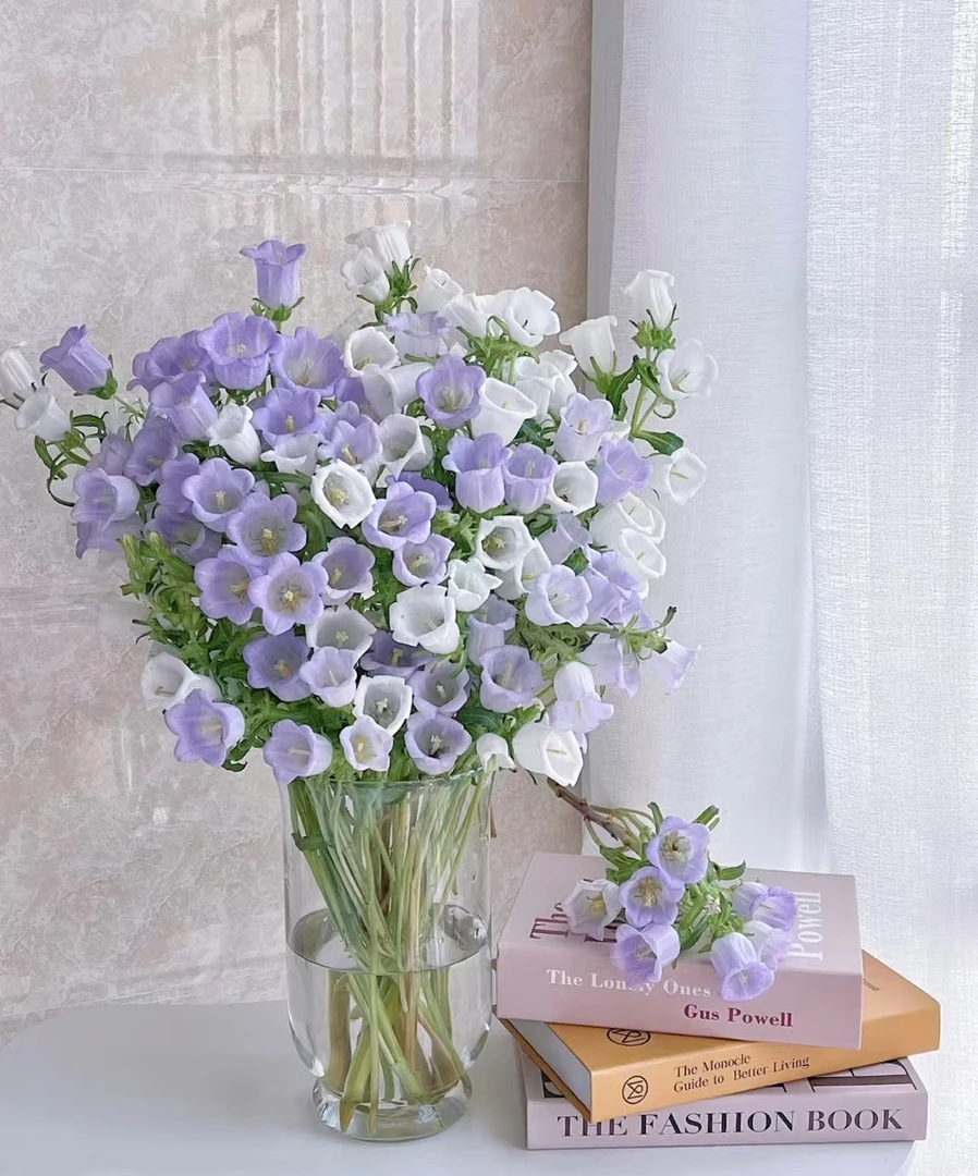 【风铃花】云南斗南基地现采现发高端居家氛围花材超长花期小众花材