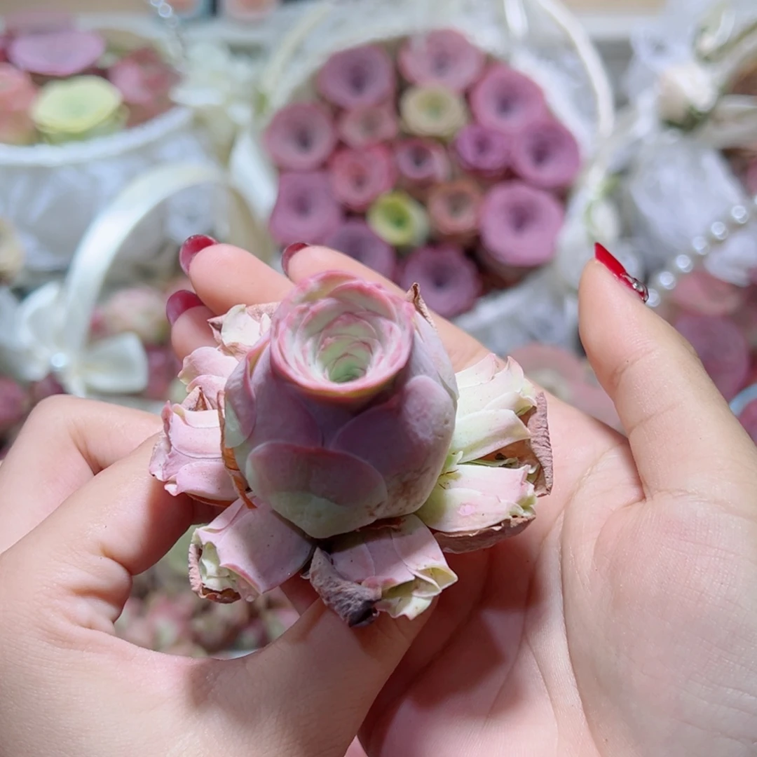 527蜜桃仙子手捧花。