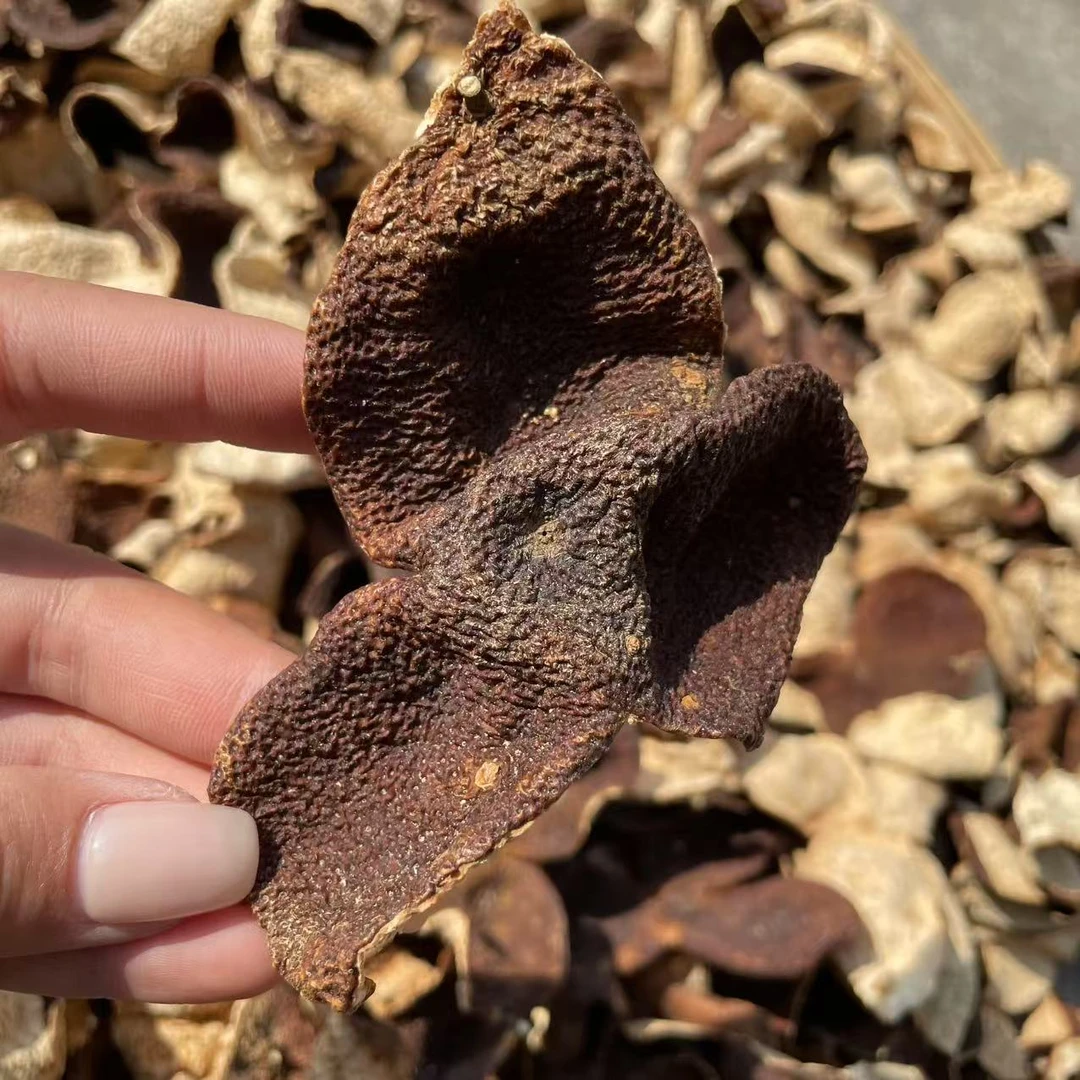 【南坦冬后2020】南坦老树原枝金丝冬后 狗腩大红皮 高甜 新会发货