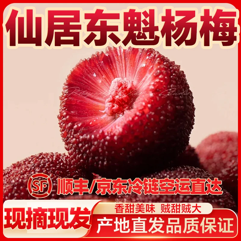 9A仙居东魁杨梅现摘现发