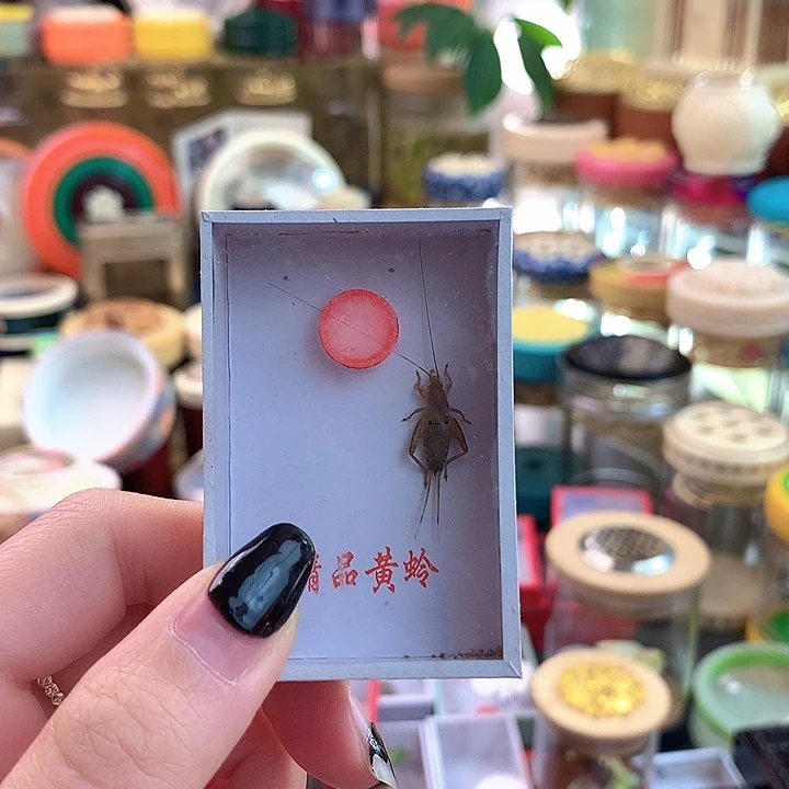 童***趣啊啊啊啊啊啊啊啊啊