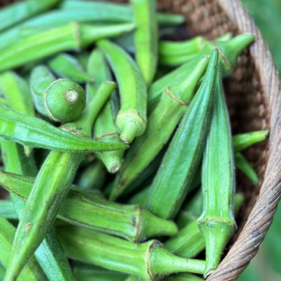 【顺丰到家】自然生态蔬菜嫩秋葵水果秋葵2斤装