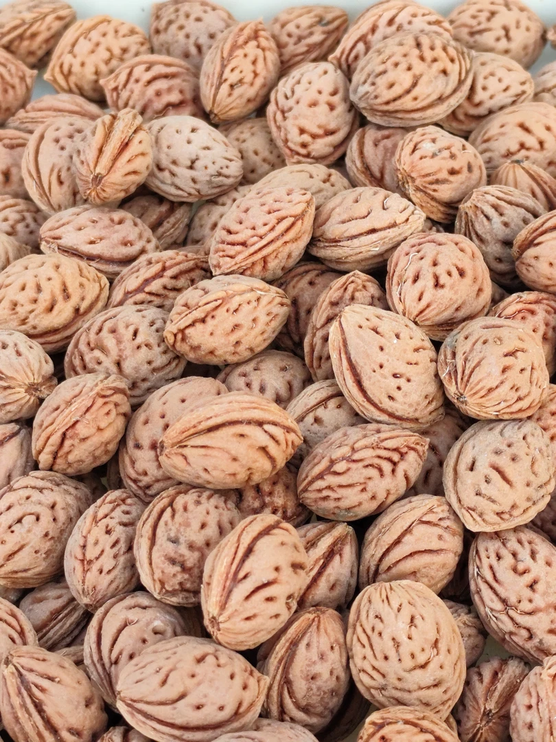 精品野生毛桃核雕刻料69一斤不分大小