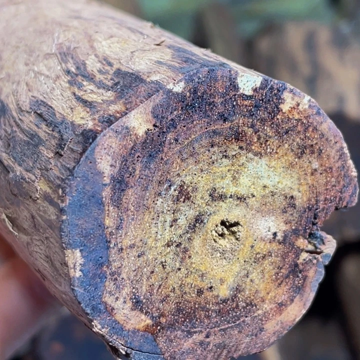 手串/手链降真香定制缅甸小叶降真香