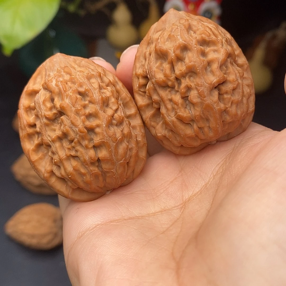 把件文玩核桃蚂蚁王全品37