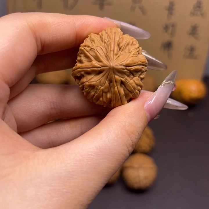 有***角菩提籽类三棱单只异型有瑕