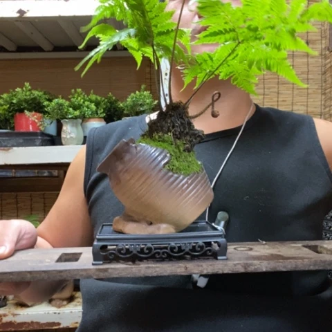 红陶蜗***吧一物一拍所见即所得76