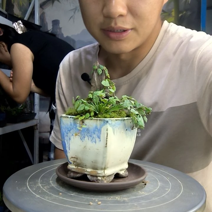 保***～中青园艺一物一拍215