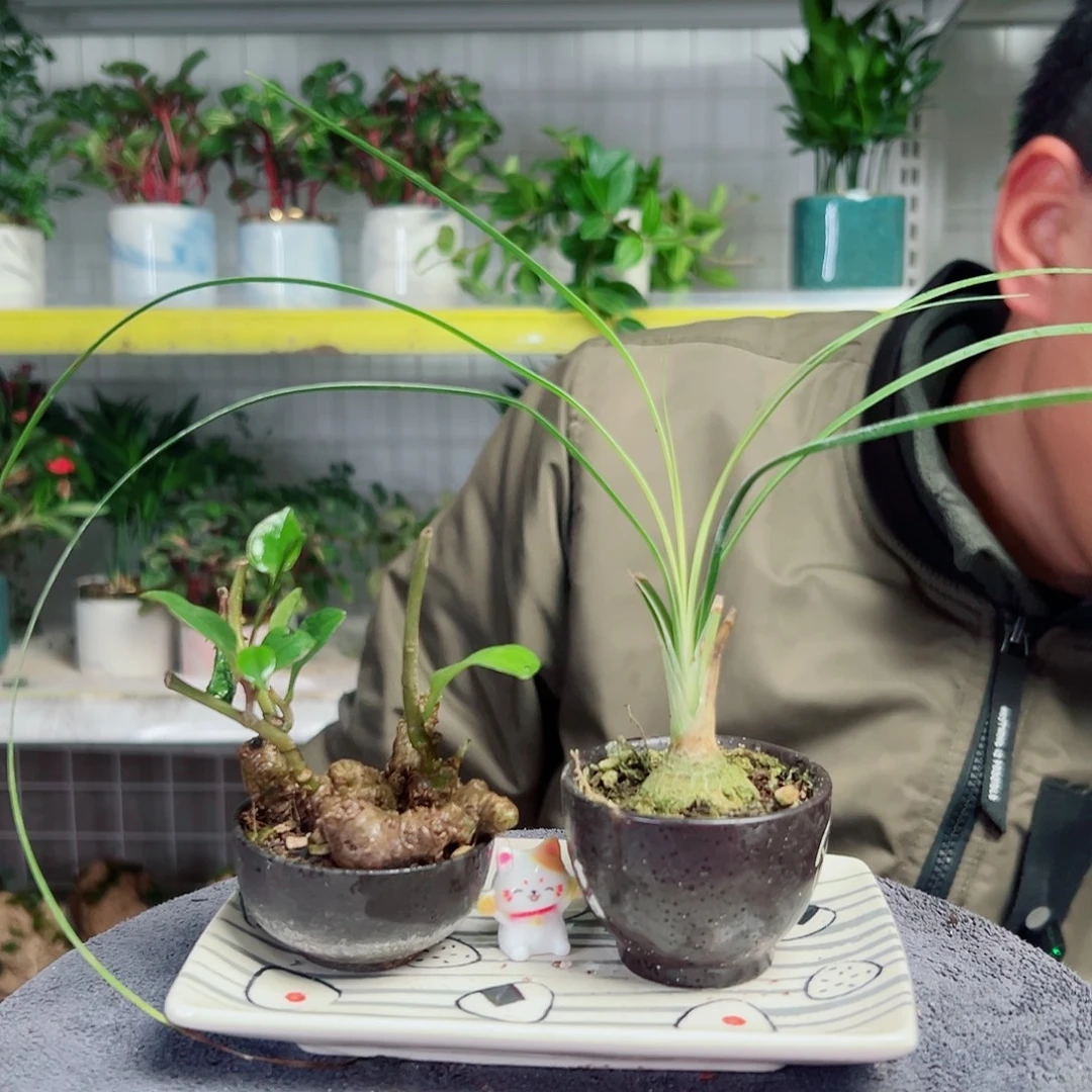 缘***空无花朵13