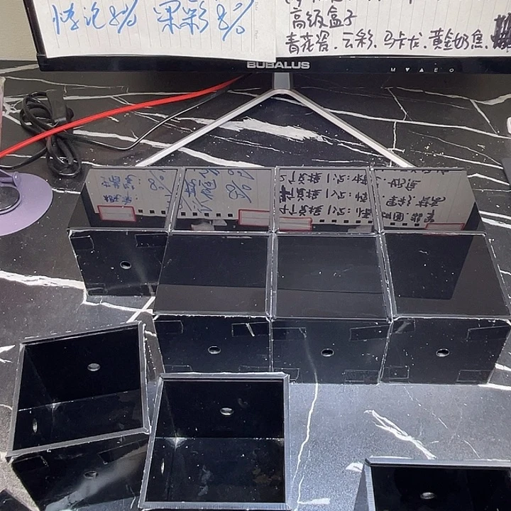 巴西彩龟母6666666