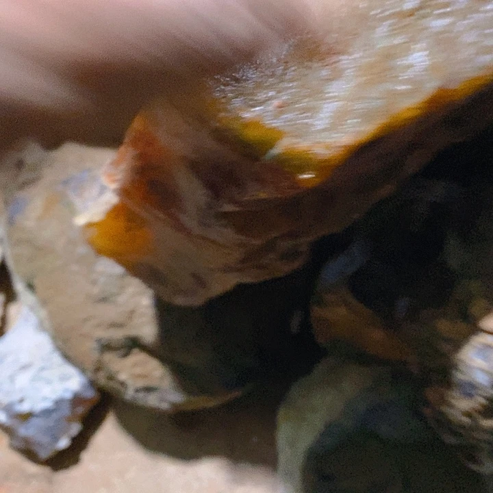 好***1定制玛瑙定制找我