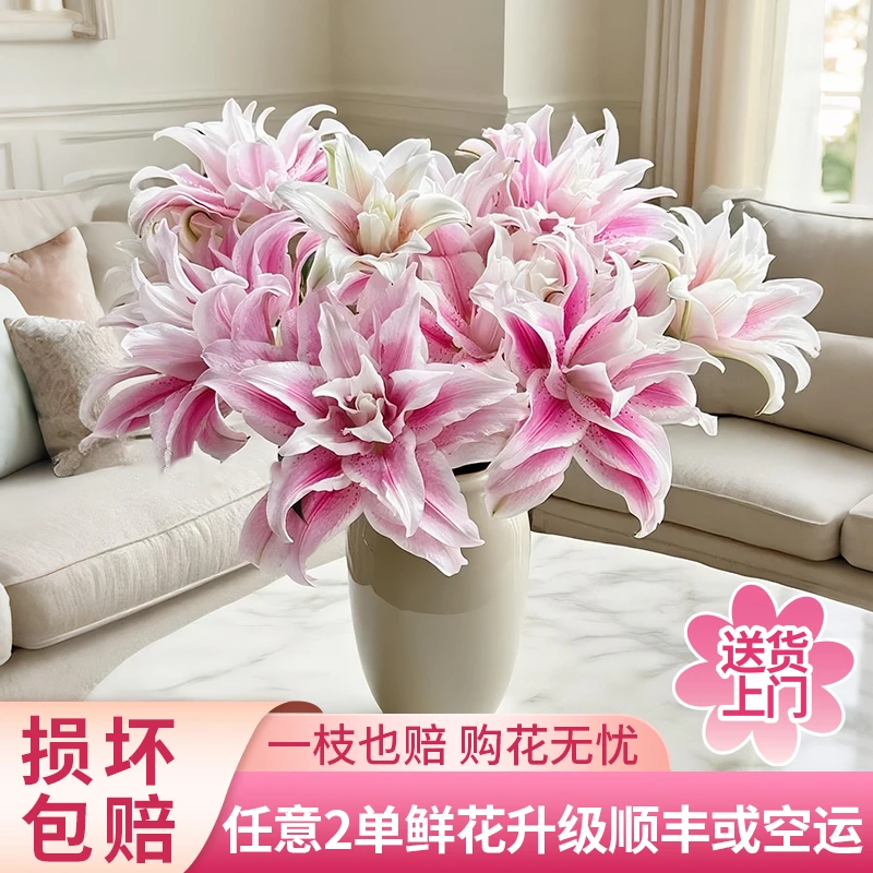 【黄梦宇】伊莎贝拉重瓣百合花全场鲜花任意满两单及以上送货上门