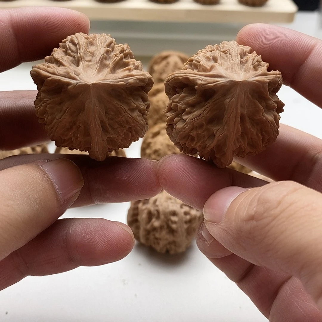 文山三棱全品40/40/41