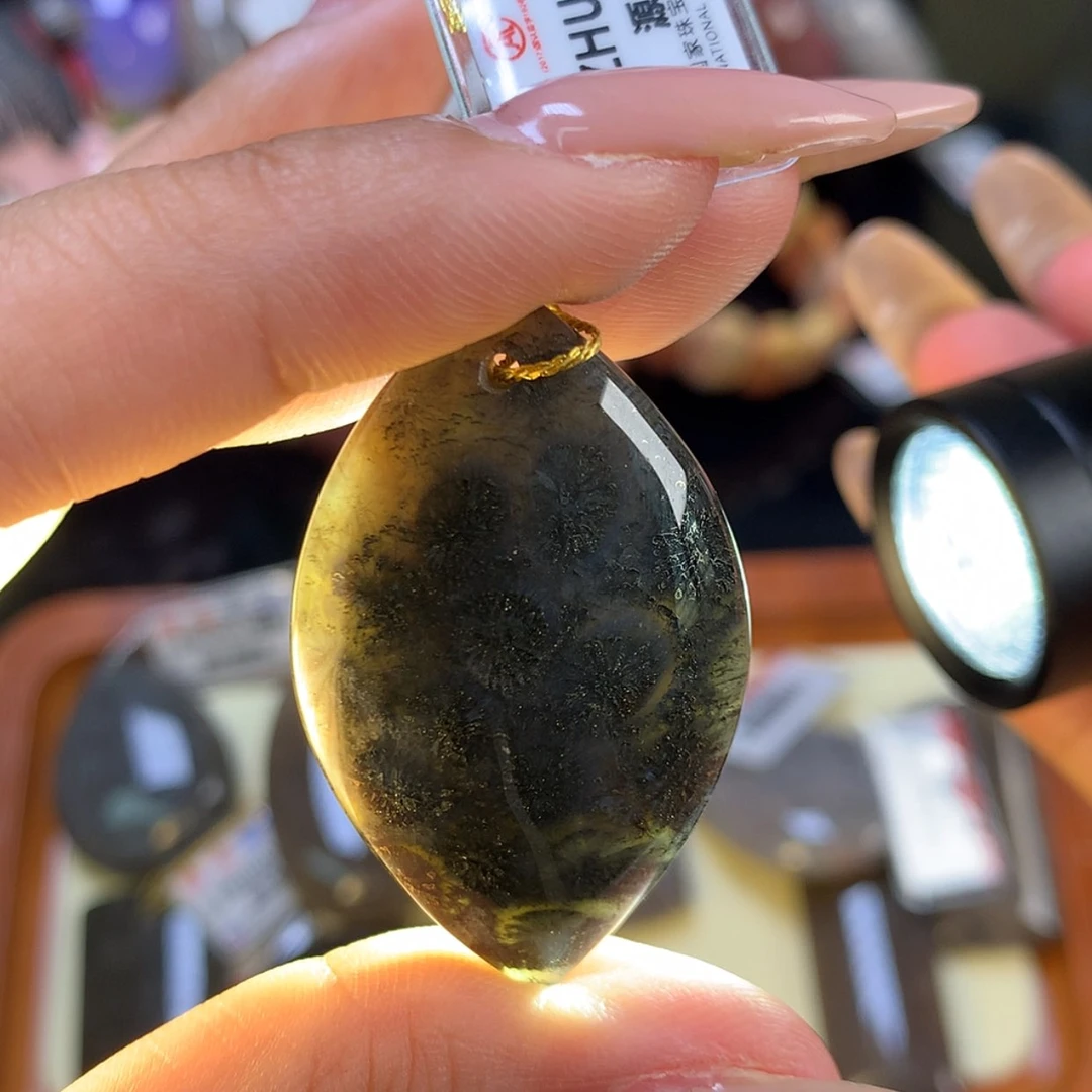 【闪购商品】颈饰未镶嵌硅化珊瑚（珊瑚玉）20号