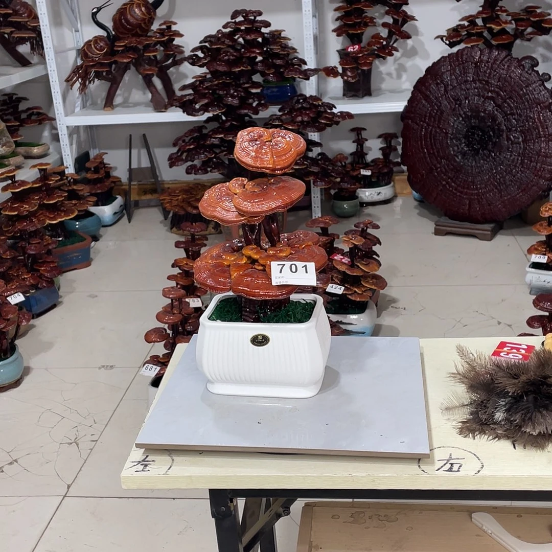 无花朵88888888888