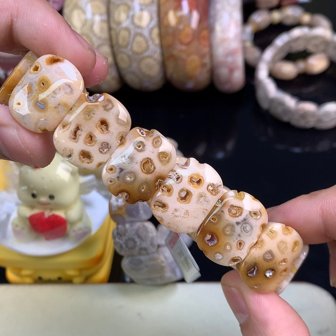 【闪购商品】颈饰未镶嵌硅化珊瑚（珊瑚玉）25号共生