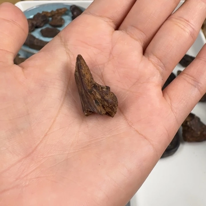 伟业香堂惠安系沉水料1.3克