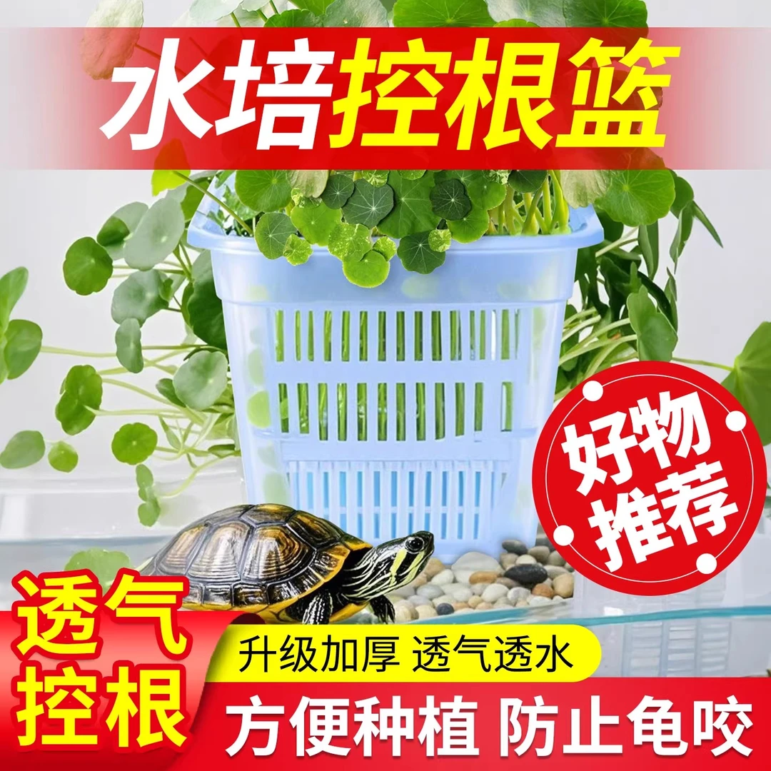 水菖蒲沼泽过滤植物防龟咬方盆加厚透气塑料花盆控根定植篮水培篮