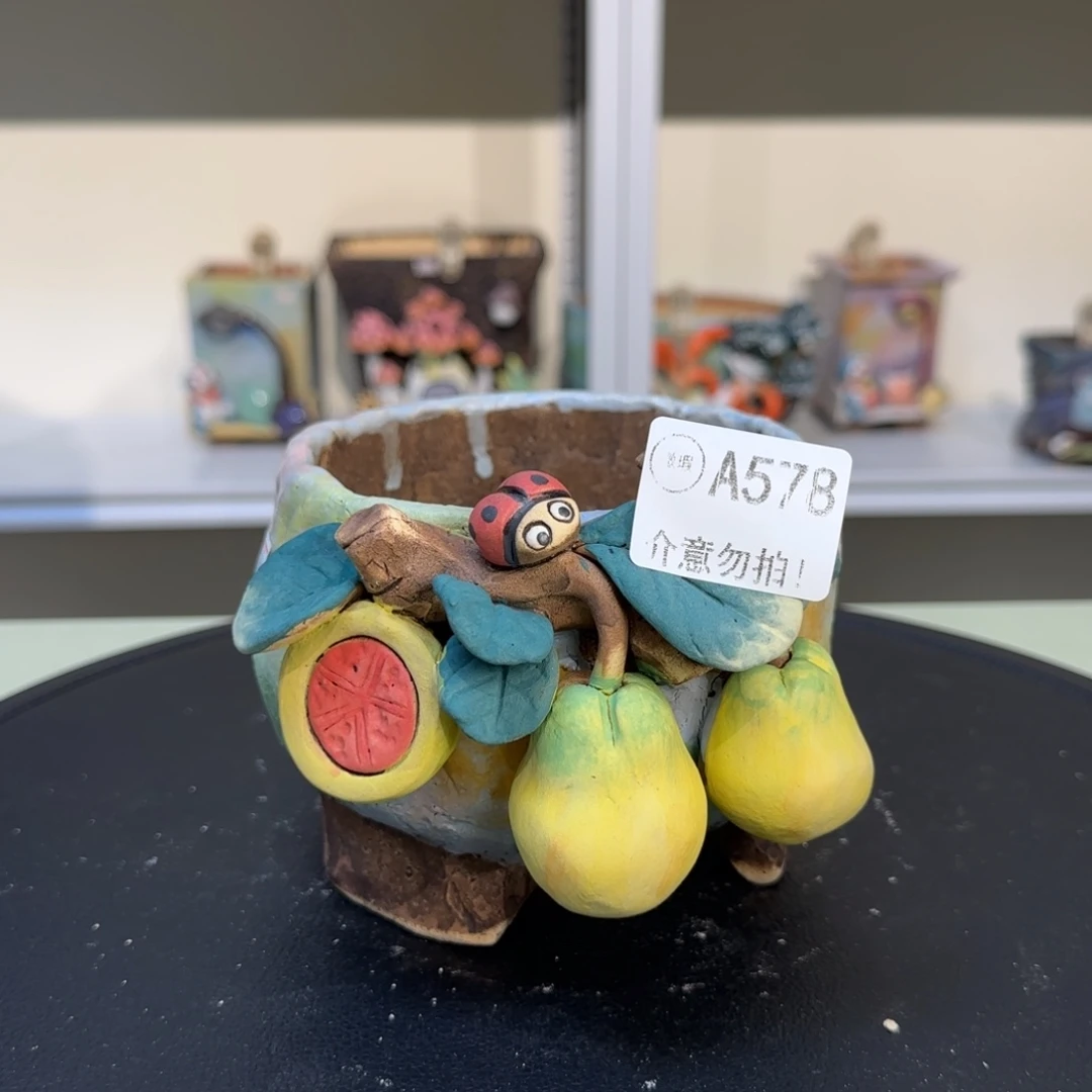 A578 【闪购】多肉花盆