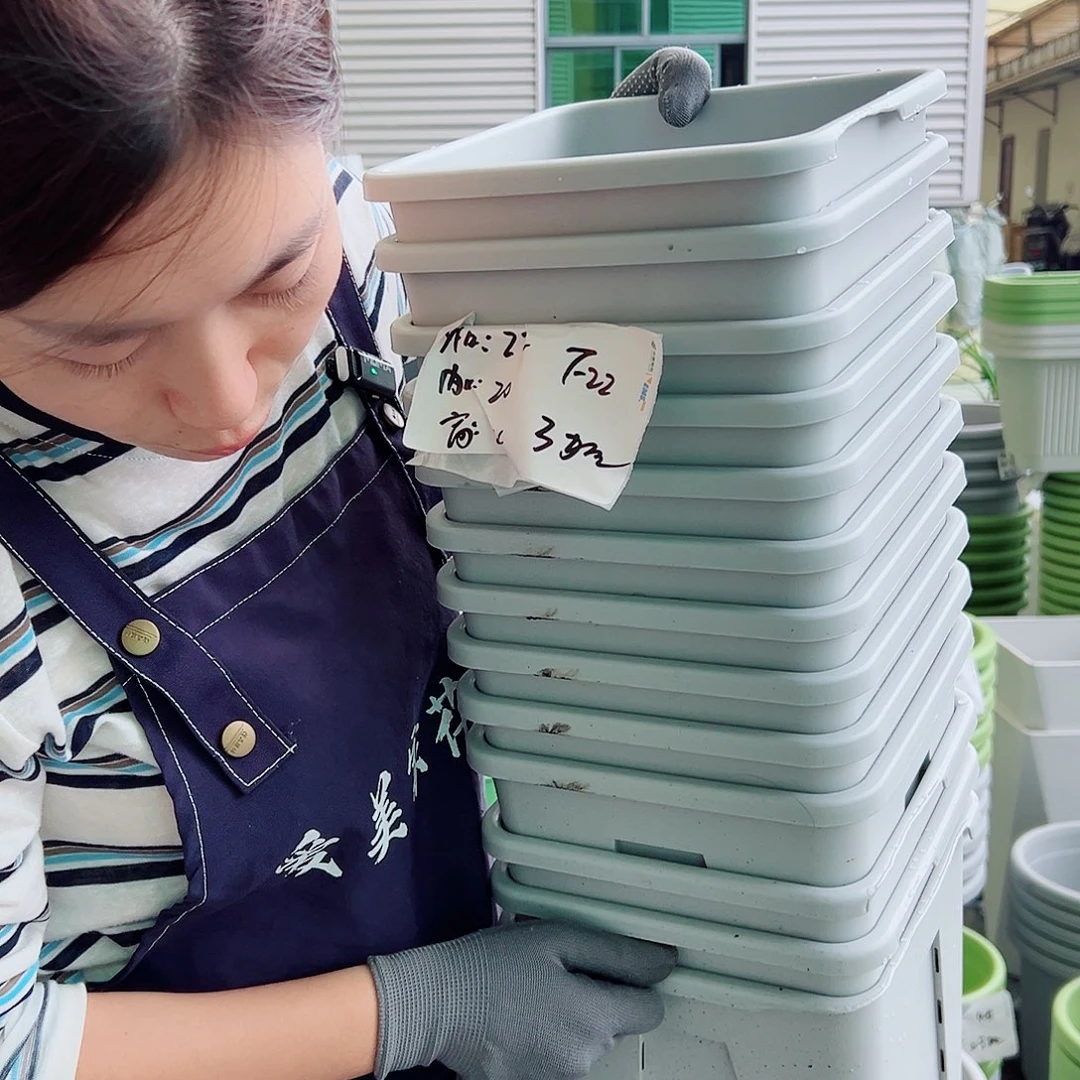 瑕疵方盆F22灰白6个无托