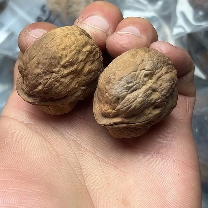 把件文玩核桃18号箭毒蛙39尺