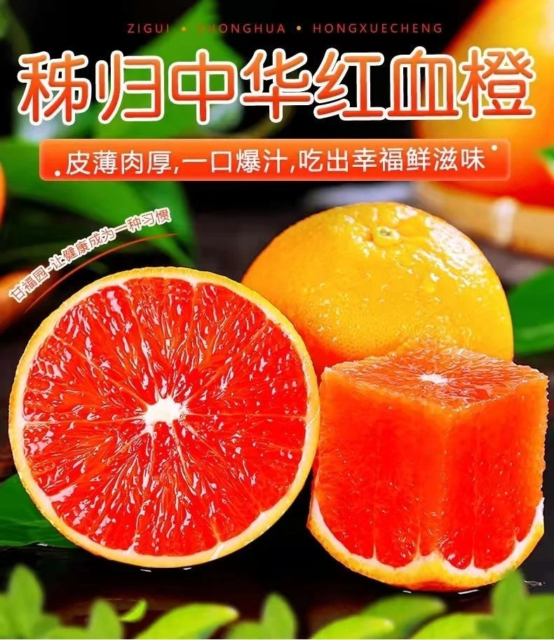 湖北秭归中华红血橙新鲜多汁香甜薄皮橙子