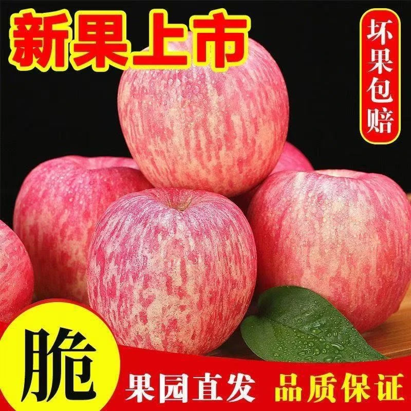 2025正宗山西运城冰糖苹果新鲜水果脆甜多汁整箱批发红富士包邮
