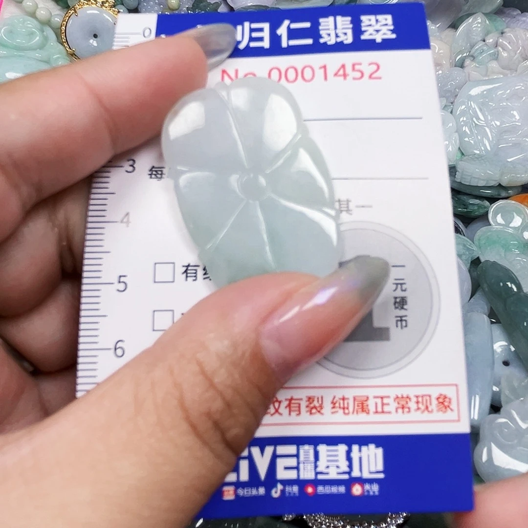 翡翠未镶嵌吊坠(不含链)1111