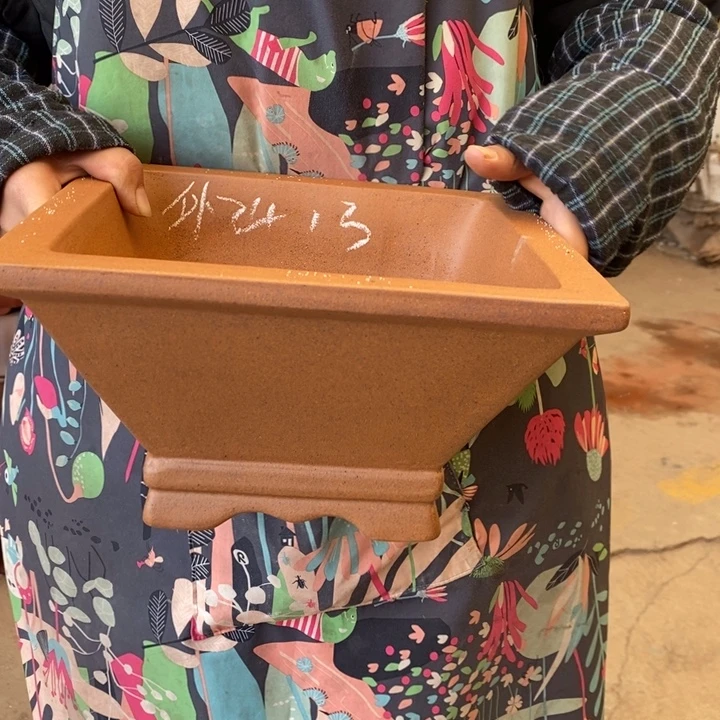 紫砂花盆只顾看手机的