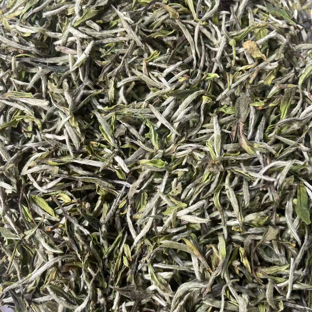 【鑫说】正山脉·2025年荒野牡丹王