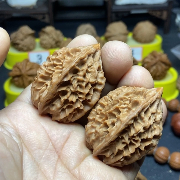 核桃南*~招财鼠00
