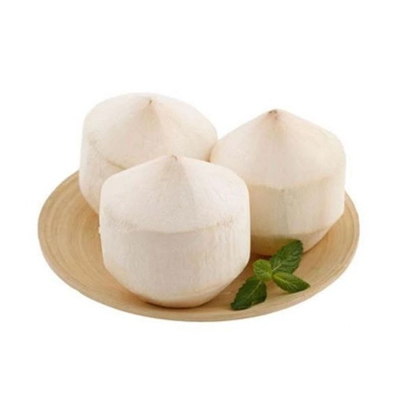 进口泰国香水椰青约930g/个（小时达专供）