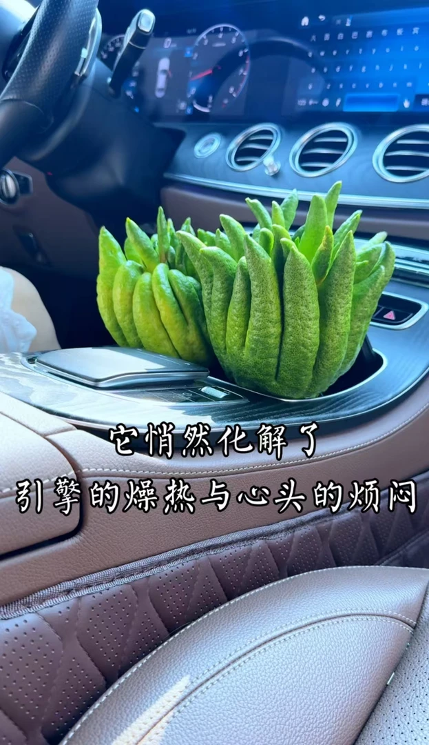 新鲜佛手果高档佛手柑观赏鲜果水培现发清供礼佛摆件微瑕