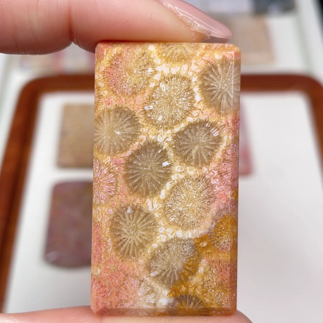 【闪购商品】未镶嵌吊坠(赠链)硅化玉