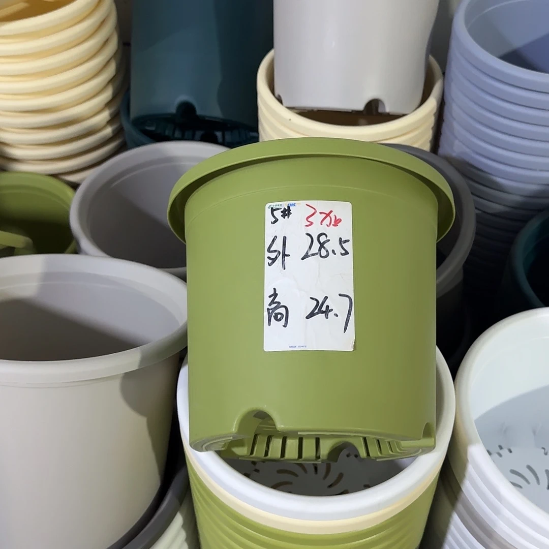 微瑕5号6个无托，果绿