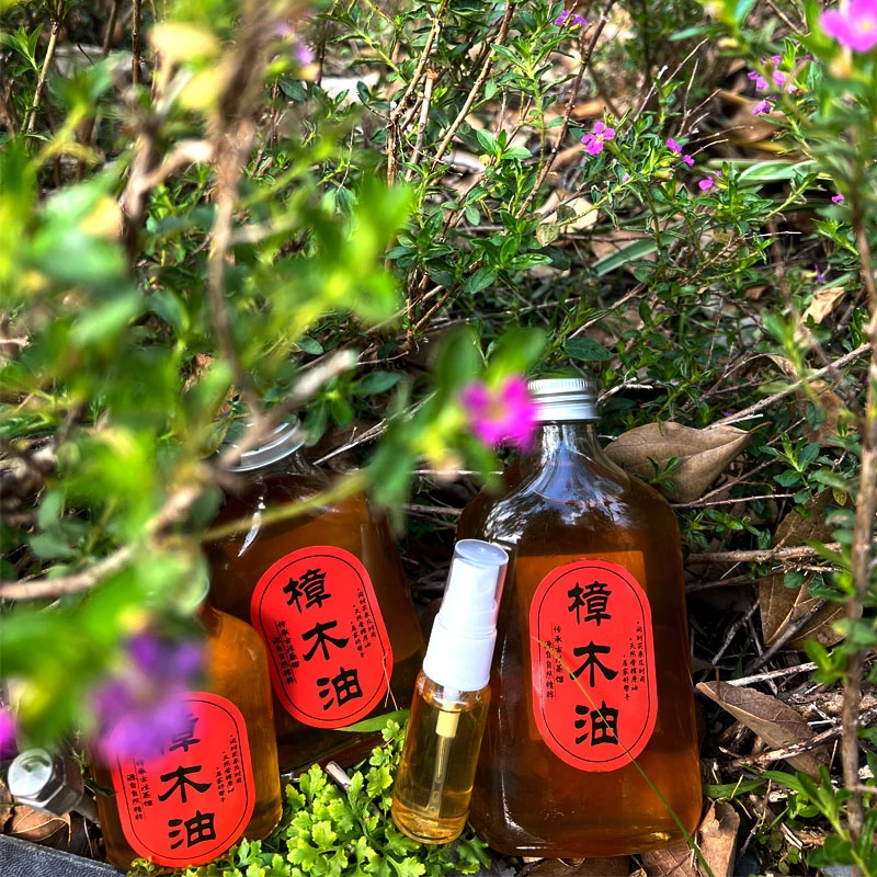 广西香樟木精油油香樟油亮仔家用香薰樟木油广西樟木油花香天然