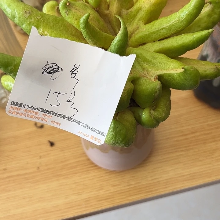 九***渊褚柑佛手柑等经济作物的