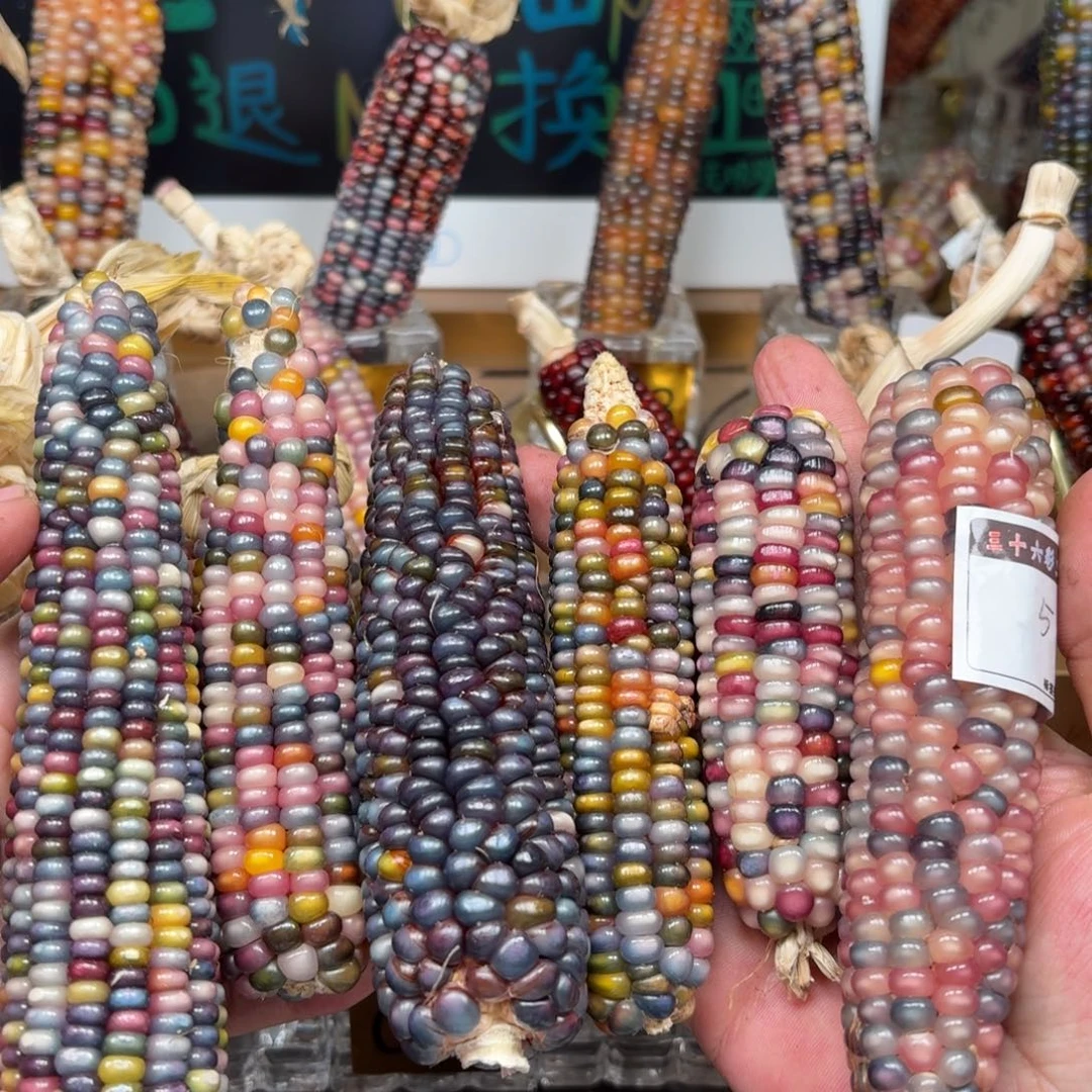 柏香籽/百香籽吊坠香**汁