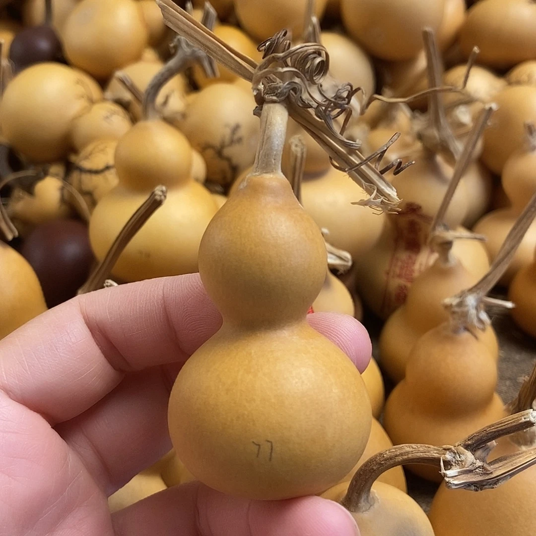 文玩葫芦 完美主义者 慎拍77