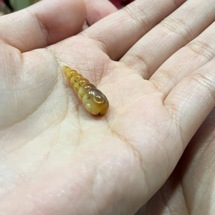 和田玉挂件未镶嵌F***丶