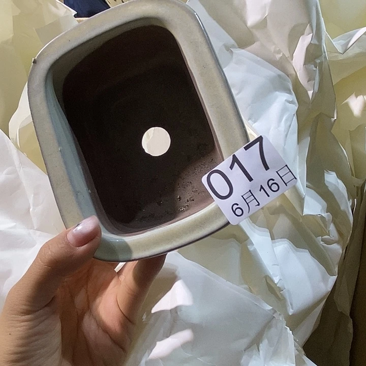杯用****0丽江丽江丽江丽江机会丽江啦